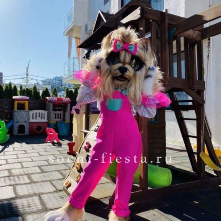 Аниматор Гламурная Собака в Орске
