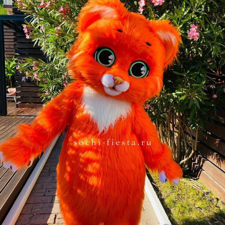 Аниматор Котик в Орске