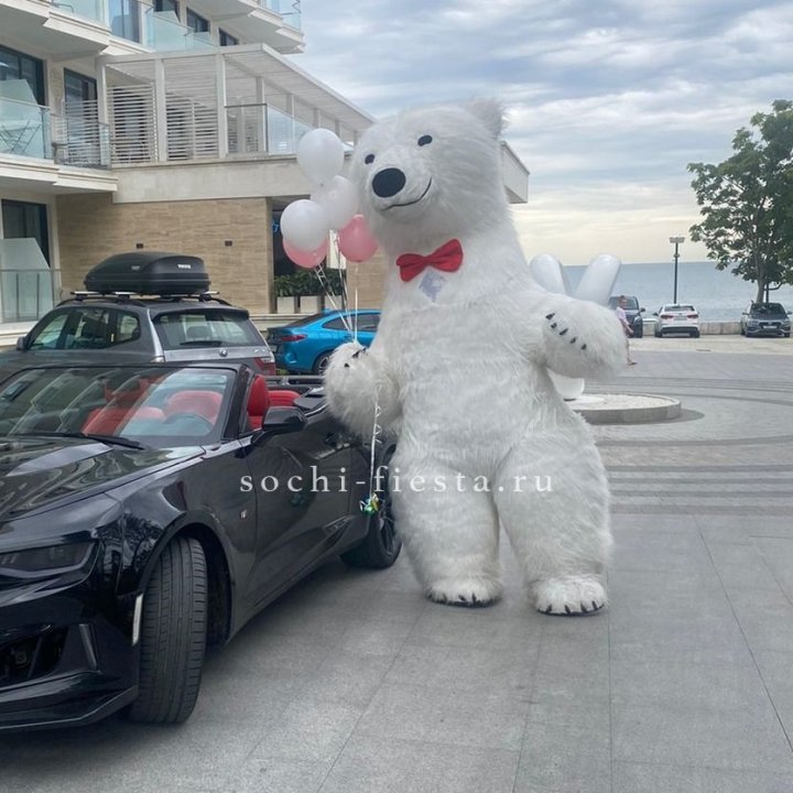 Аниматор Белый Медведь в Орске