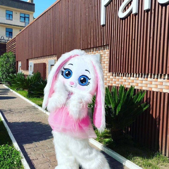 Аниматор Зайка в Орске