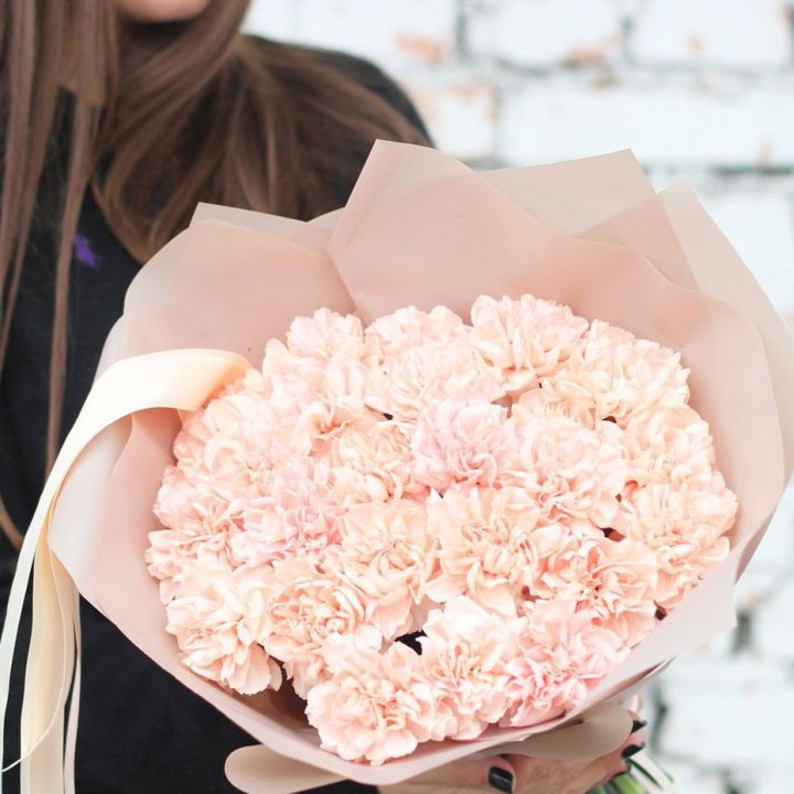 Диантусы №2 в Орске