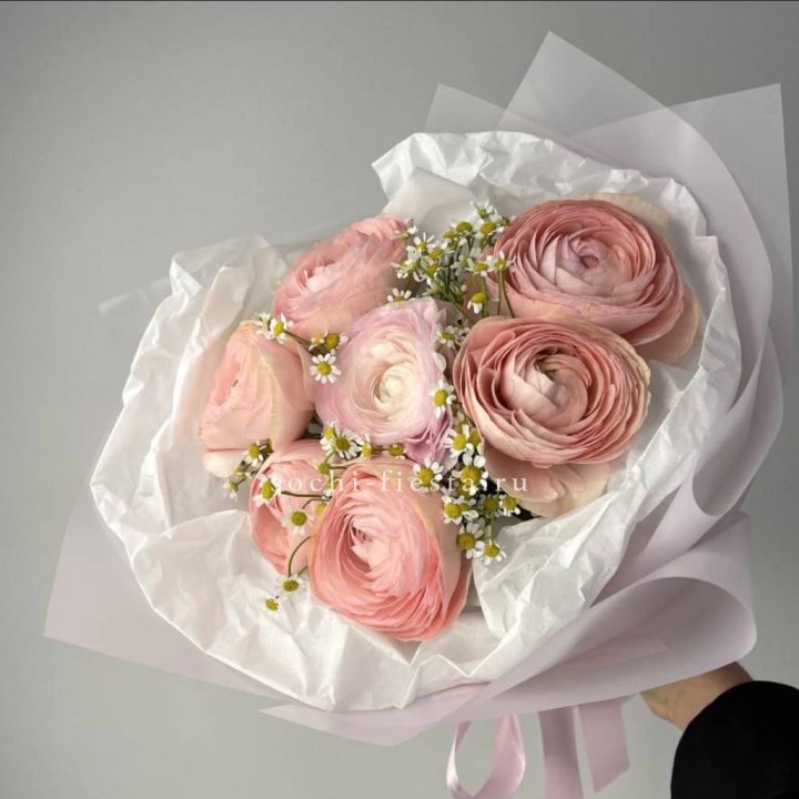 Ранункулюсы с ромашками в Орске