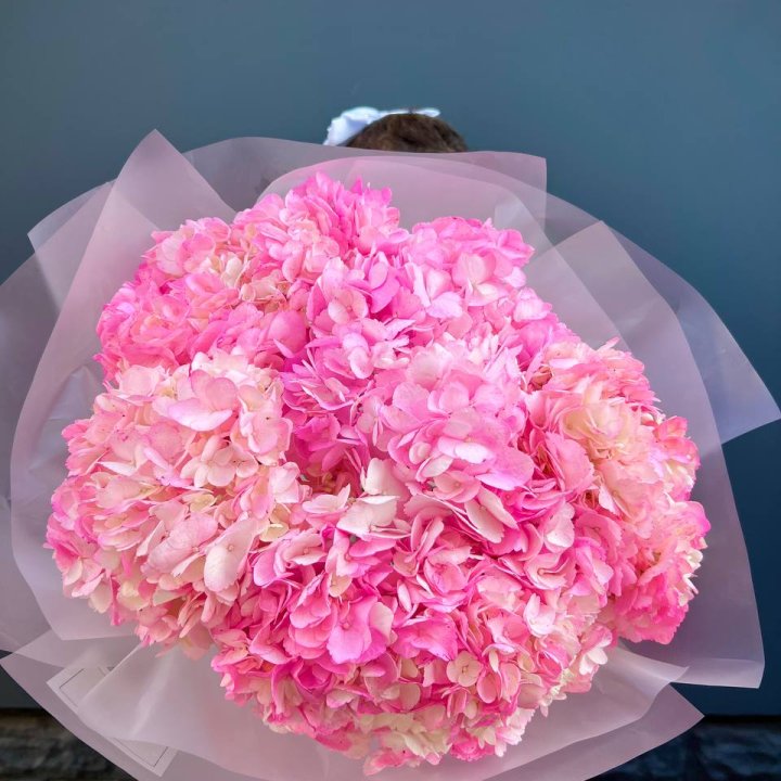 9 ярко розовых гортензий в Орске