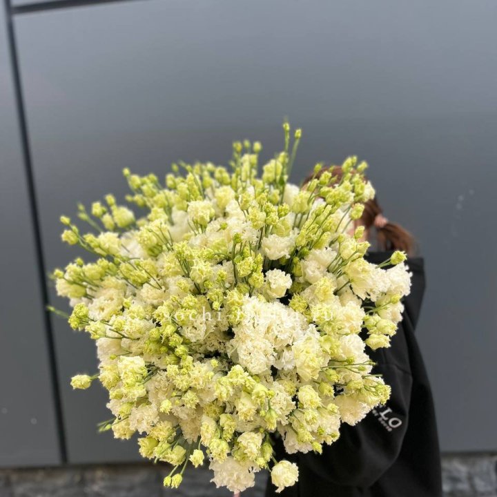 51 белая эустома в Орске