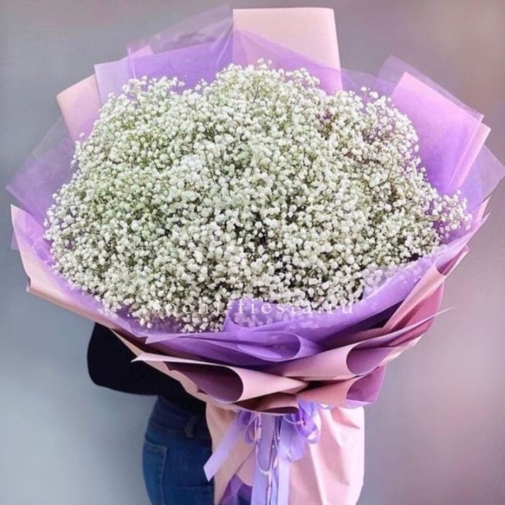 Облако белых гипсофил в Орске