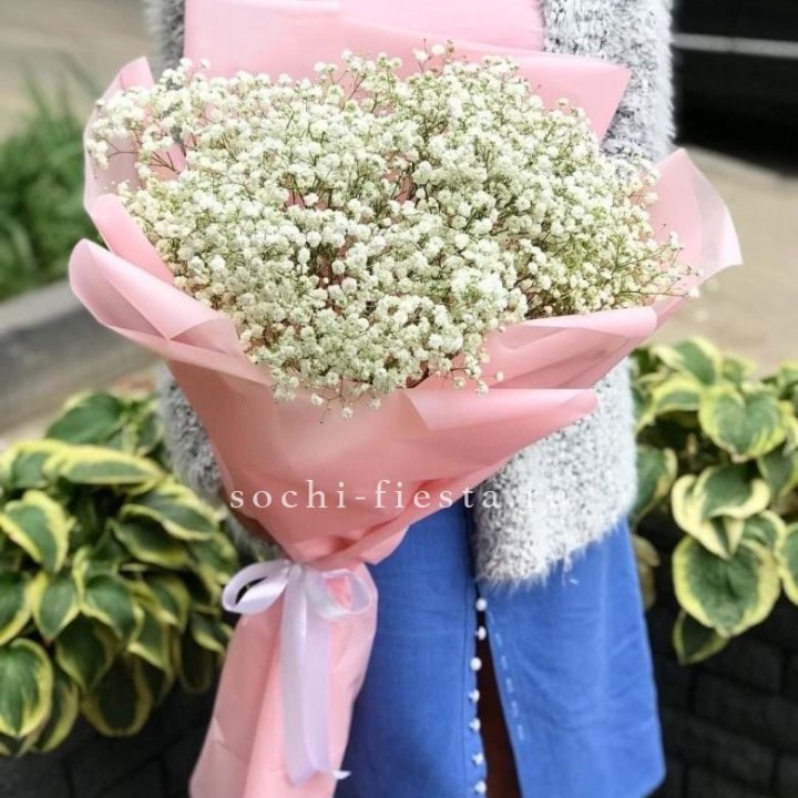 Белоснежные гипсофилы в Орске