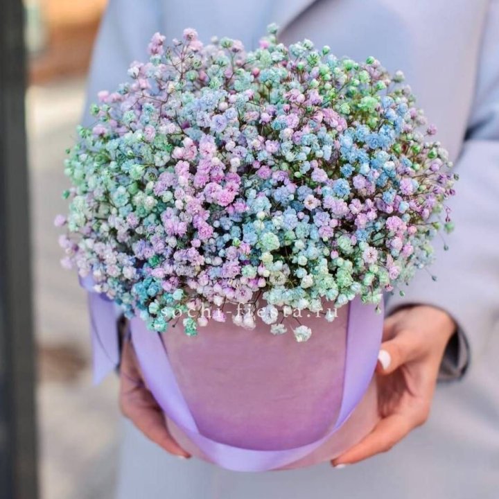 Гипсофилы в шляпной коробке "Кандилайт" в Орске