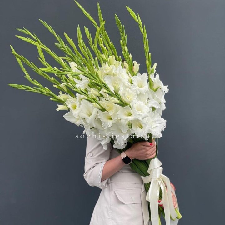 19 белых гладиолусов под ленту в Орске