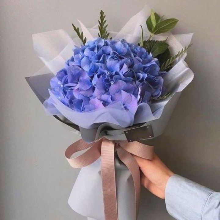 Гортензия голубая в Орске