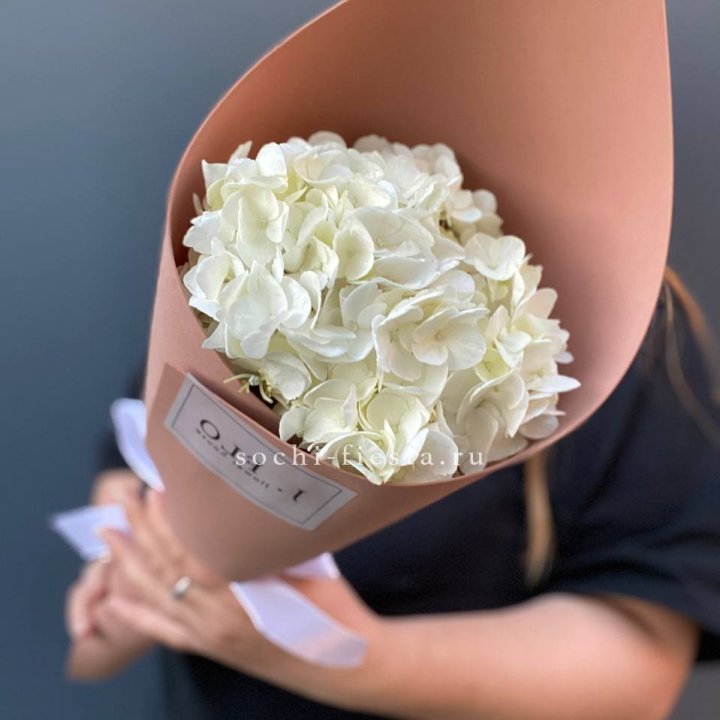 Гортензия в конверте в Орске