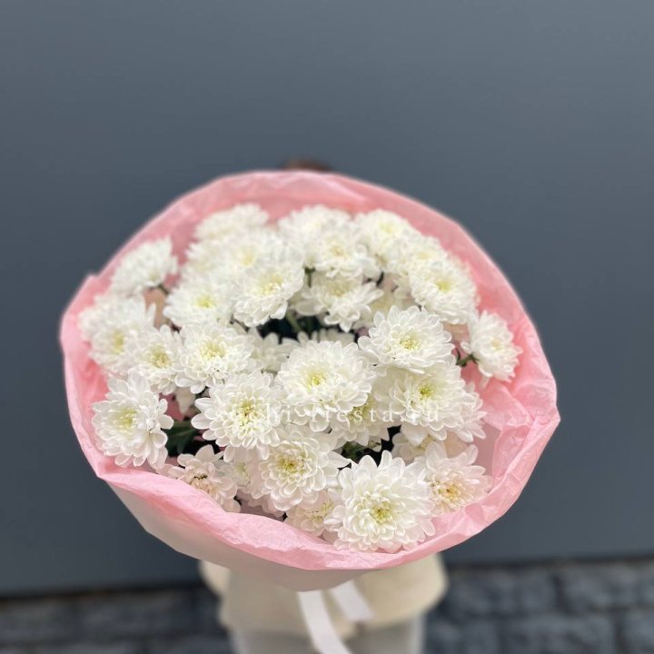  5 хризантем  в Орске