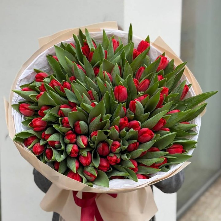 101 красный тюльпан в Орске