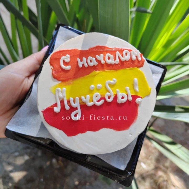 Бенто-торт "С началом учёбы"" в Орске