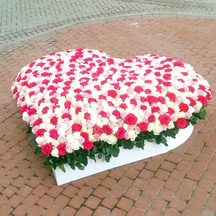 555 роза  в Орске