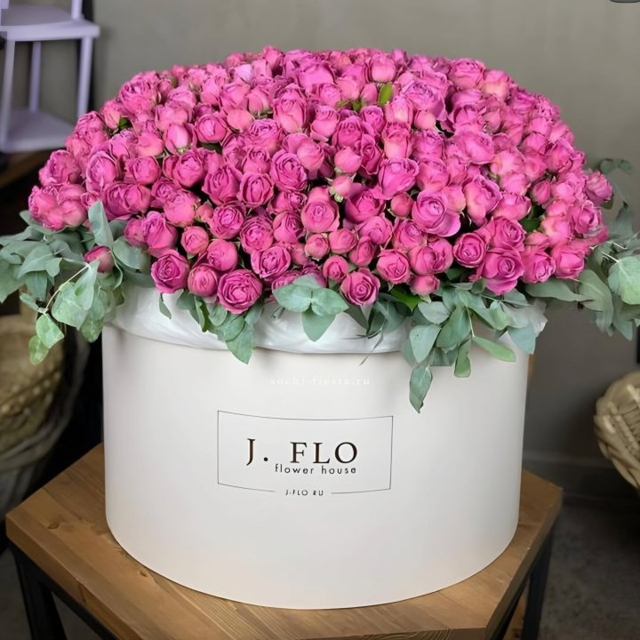 Цилиндр с Мисти Бабблс  в Орске