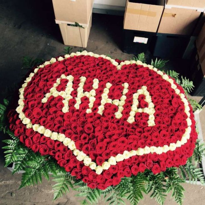 555 роз с именем в Орске