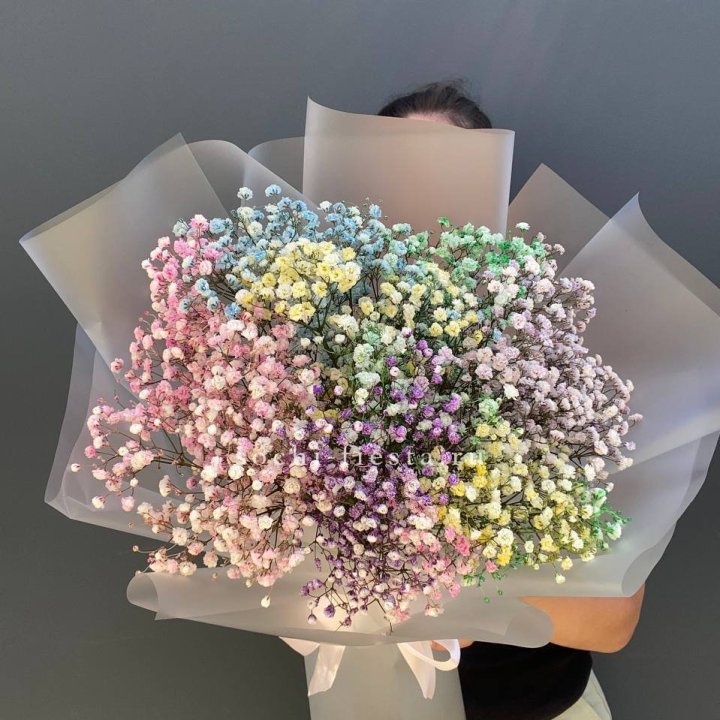 Радужные гипсофилы  в Орске