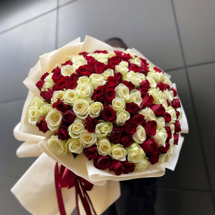 101 высокая импортная роза  в Орске