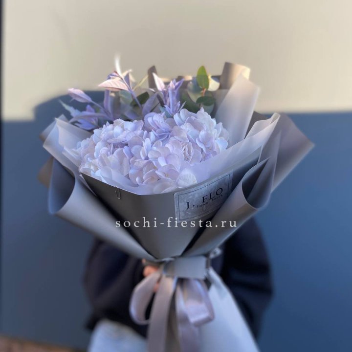 Гортензия "Виолета" в Орске