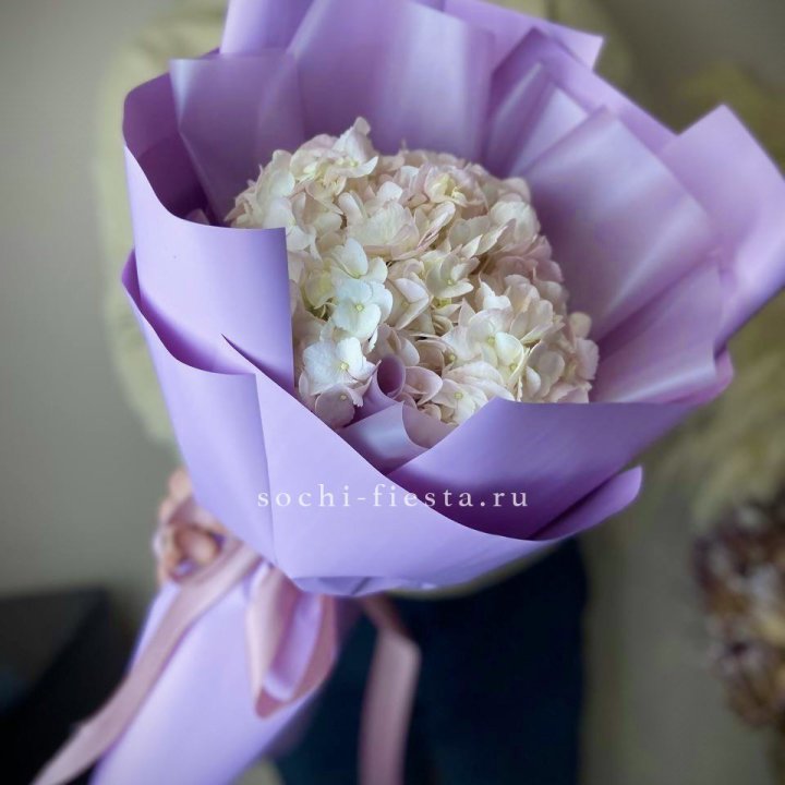 Гортензия розовая в Орске