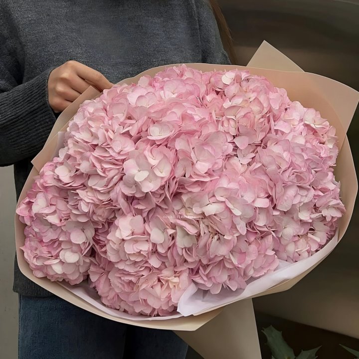 Гортензия  "РОЗЕ" в Орске