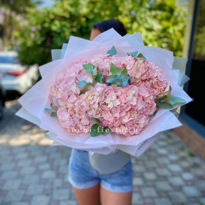 5 розовых гортензий  в Орске