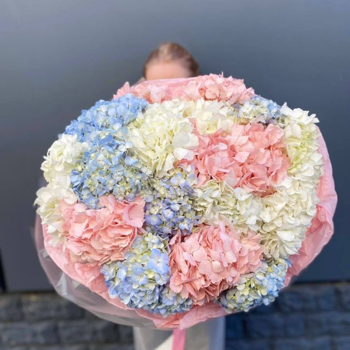 19 гортензий микс в Орске