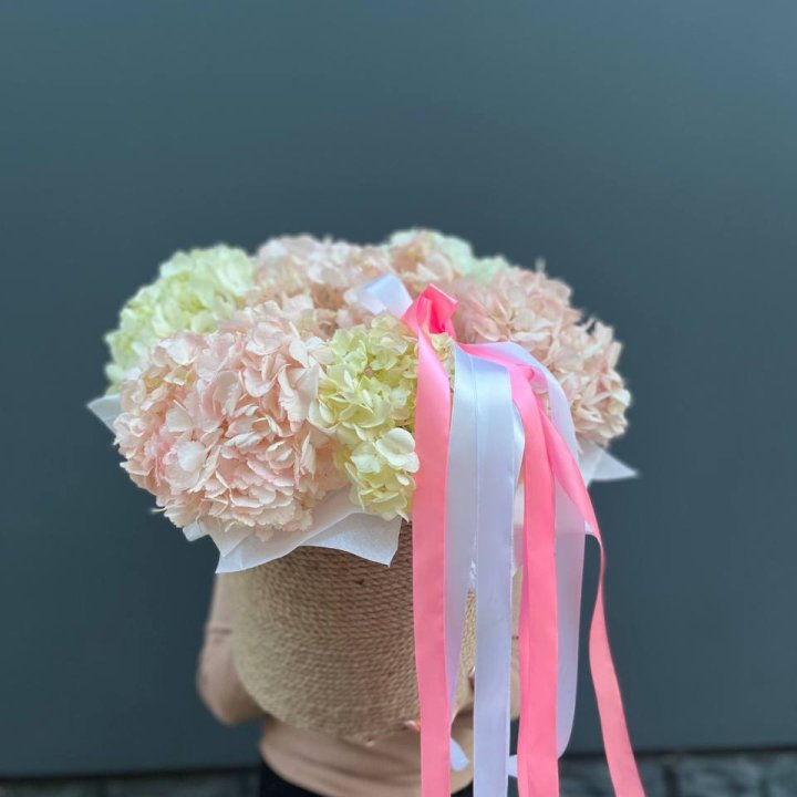 7 гортензий в кашпо в Орске