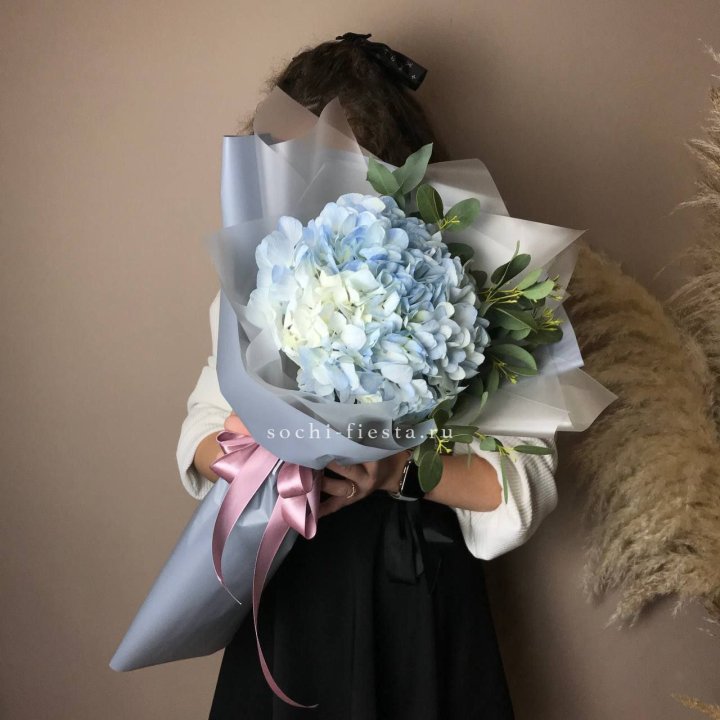 Гортензия Уно в Орске