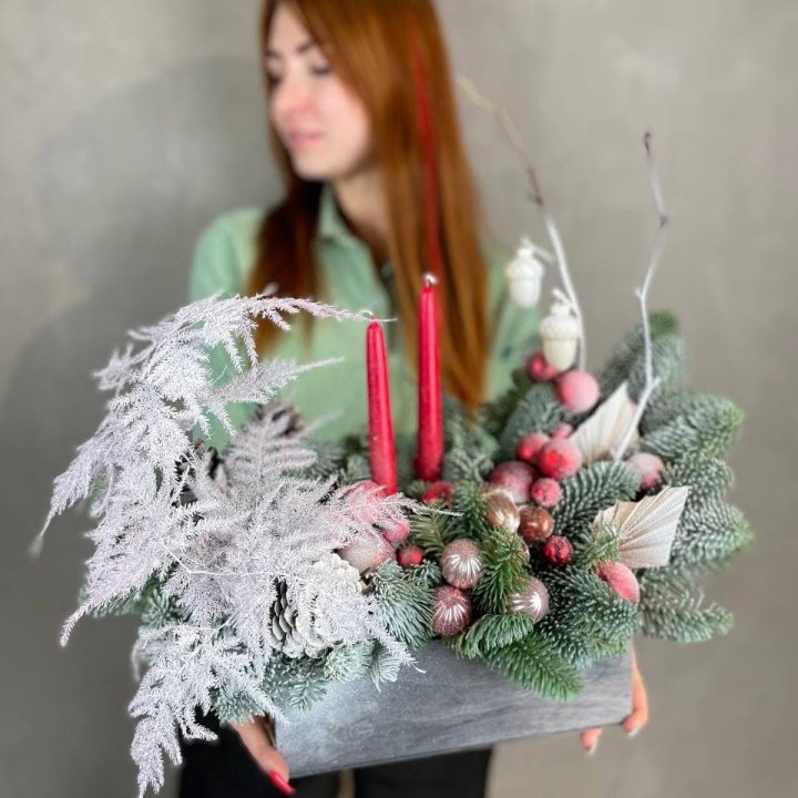 Бокс красный с нобилисом в Орске