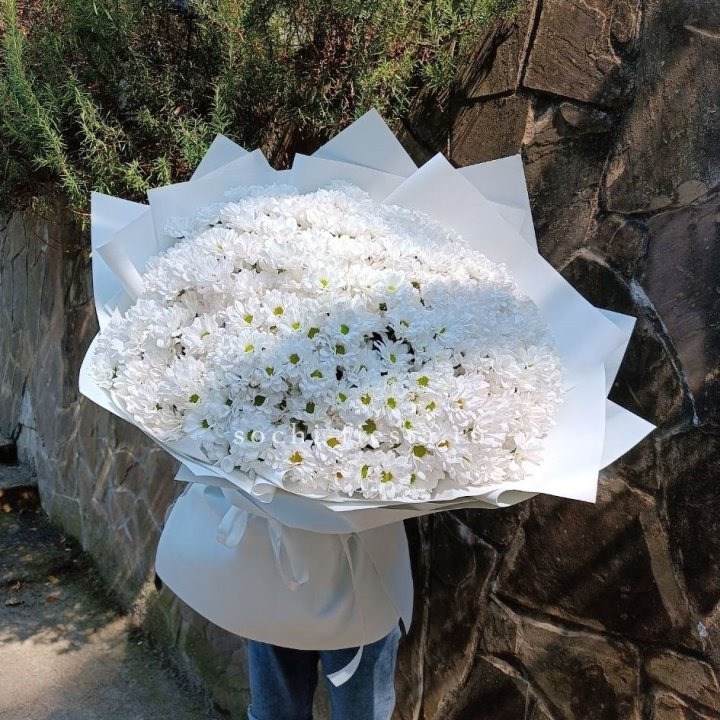 Облако хризантем №2 в Орске