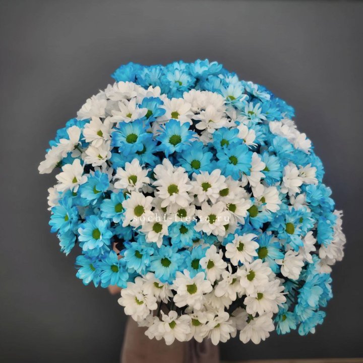  Букет хризантем микс в Орске