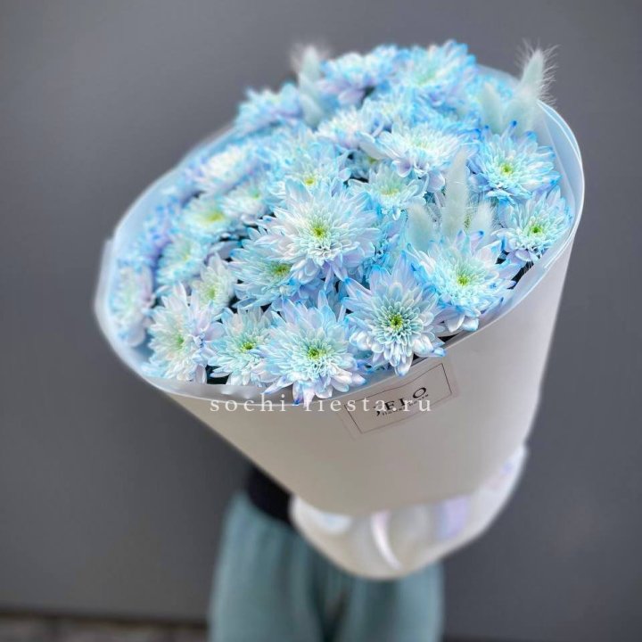  Букет нежно-голубых хризантем  в Орске