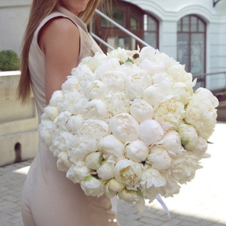 51 белый пион в Орске