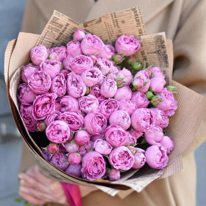 Роза Мисти Баблс в Орске