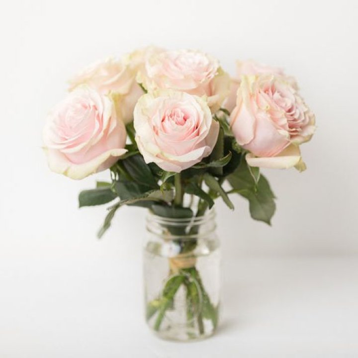 7 кремовых роз в Орске