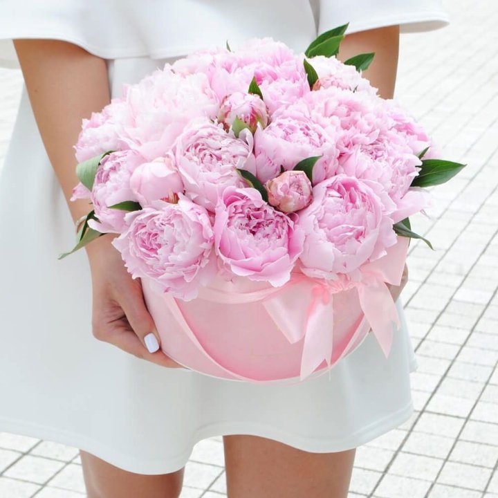 Пионы в шляпной коробке в Орске