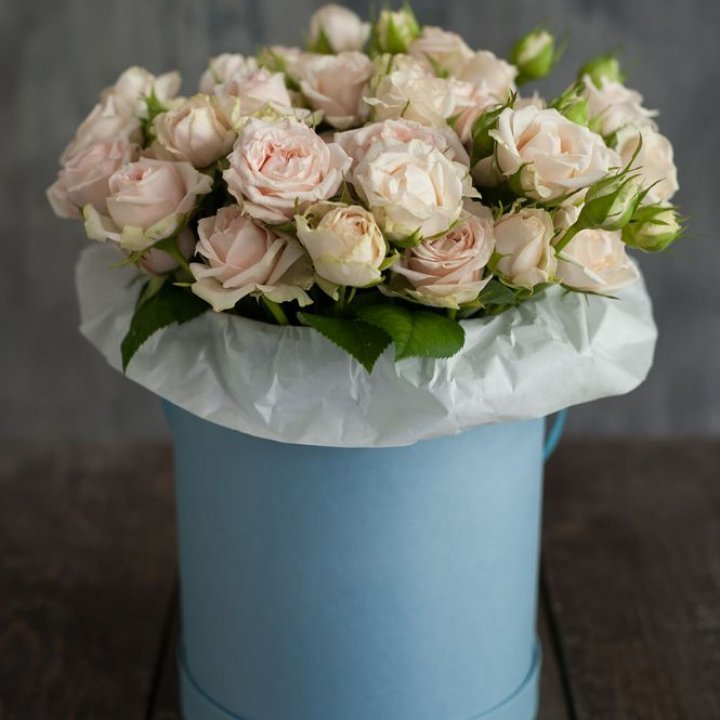 Бокс с бомбастиком в Орске