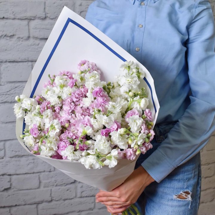 Маттиола в Орске