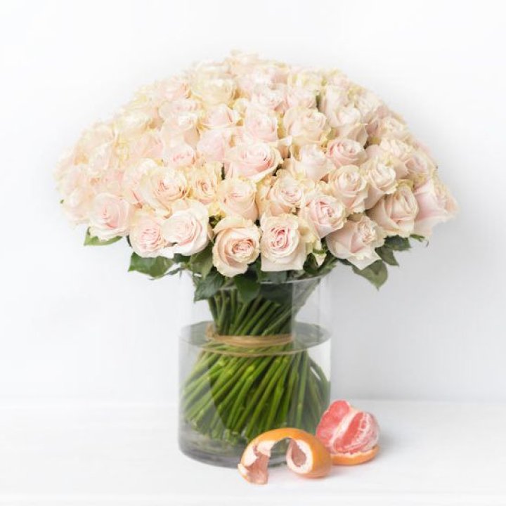 101 кремовая роза в Орске