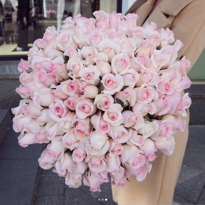 Розы "Пинк бум" в Орске