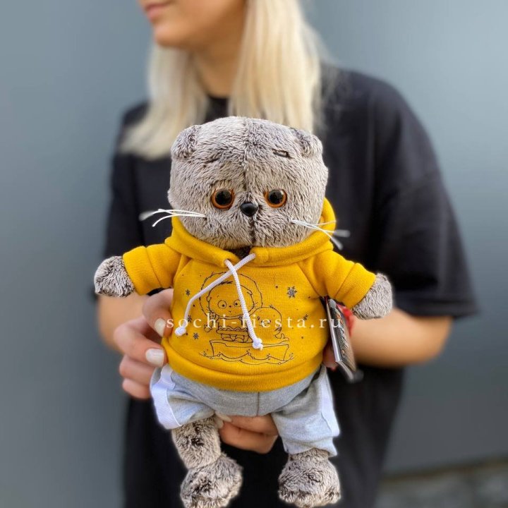 Кот Басик в худи в Орске