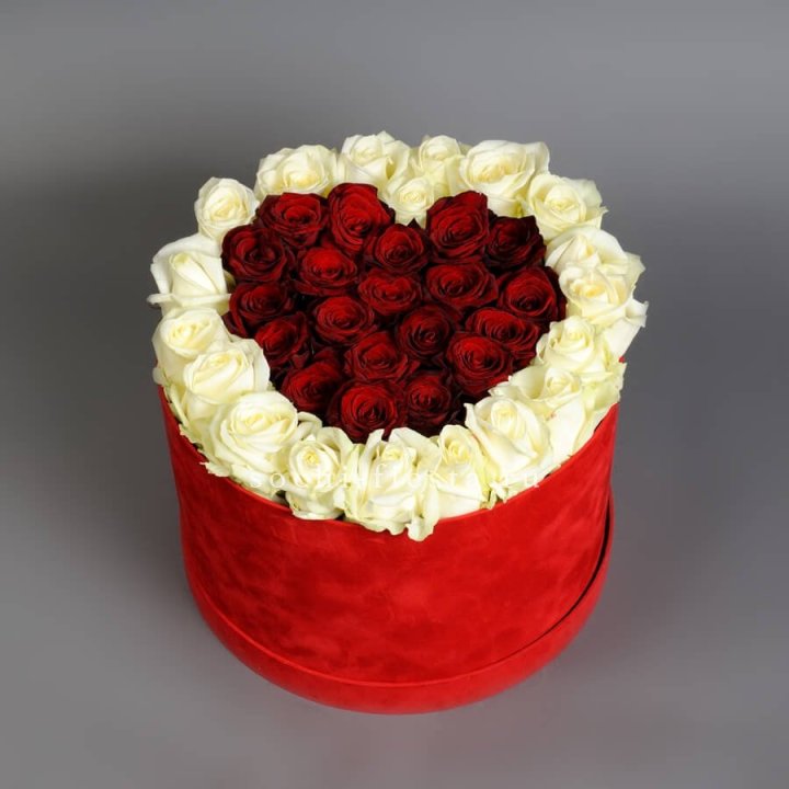 39 красных и белых роз в цилиндре в Орске