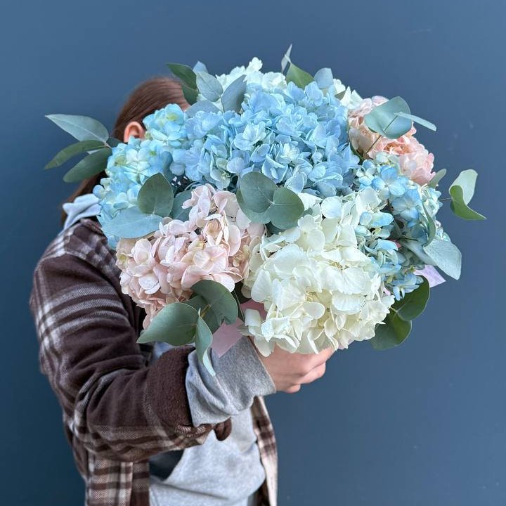 Гортензии в коробочке в Орске