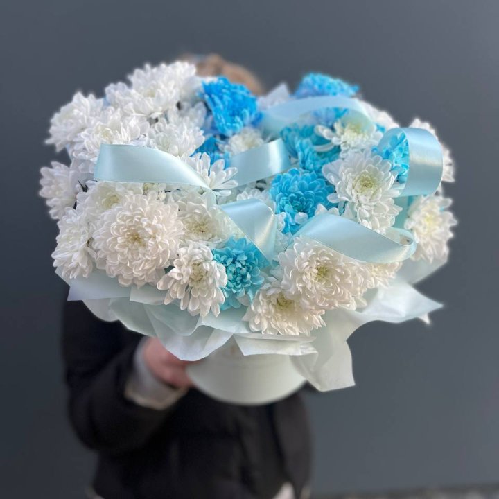 Хризнтемы в боксе в Орске