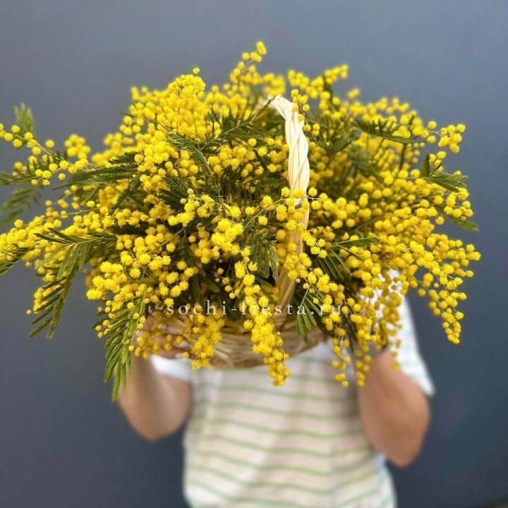 Весенняя корзина мимозы в Орске