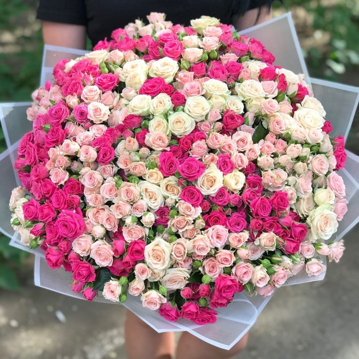 101 кустовая роза в Орске