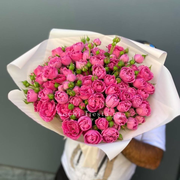 Мисти Баблс 35шт в Орске