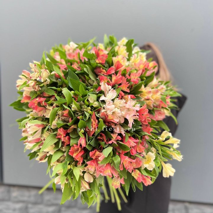 51 альстромерия в Орске