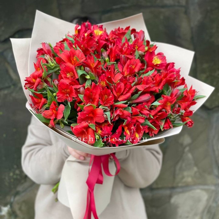 51 альстромерия в Орске